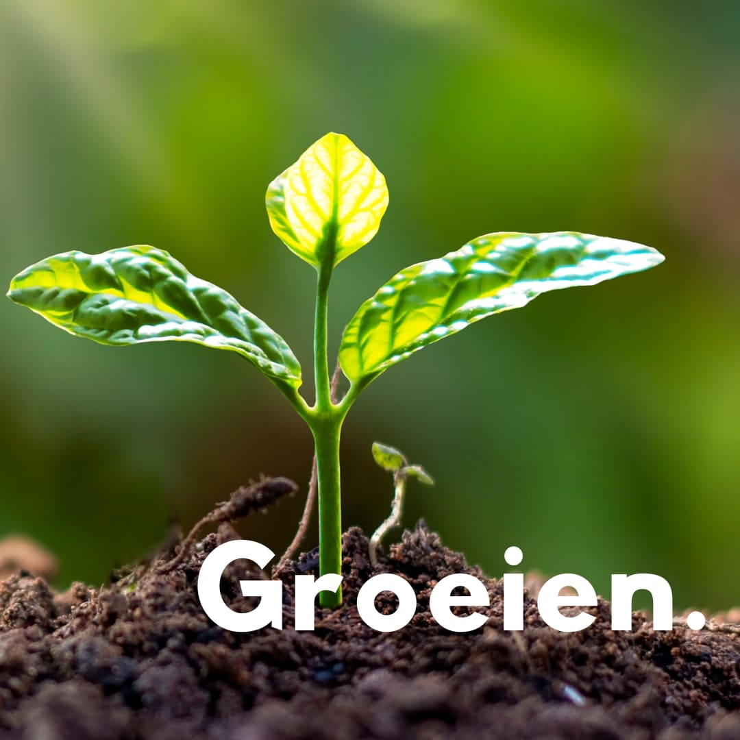 Grow. Groeien